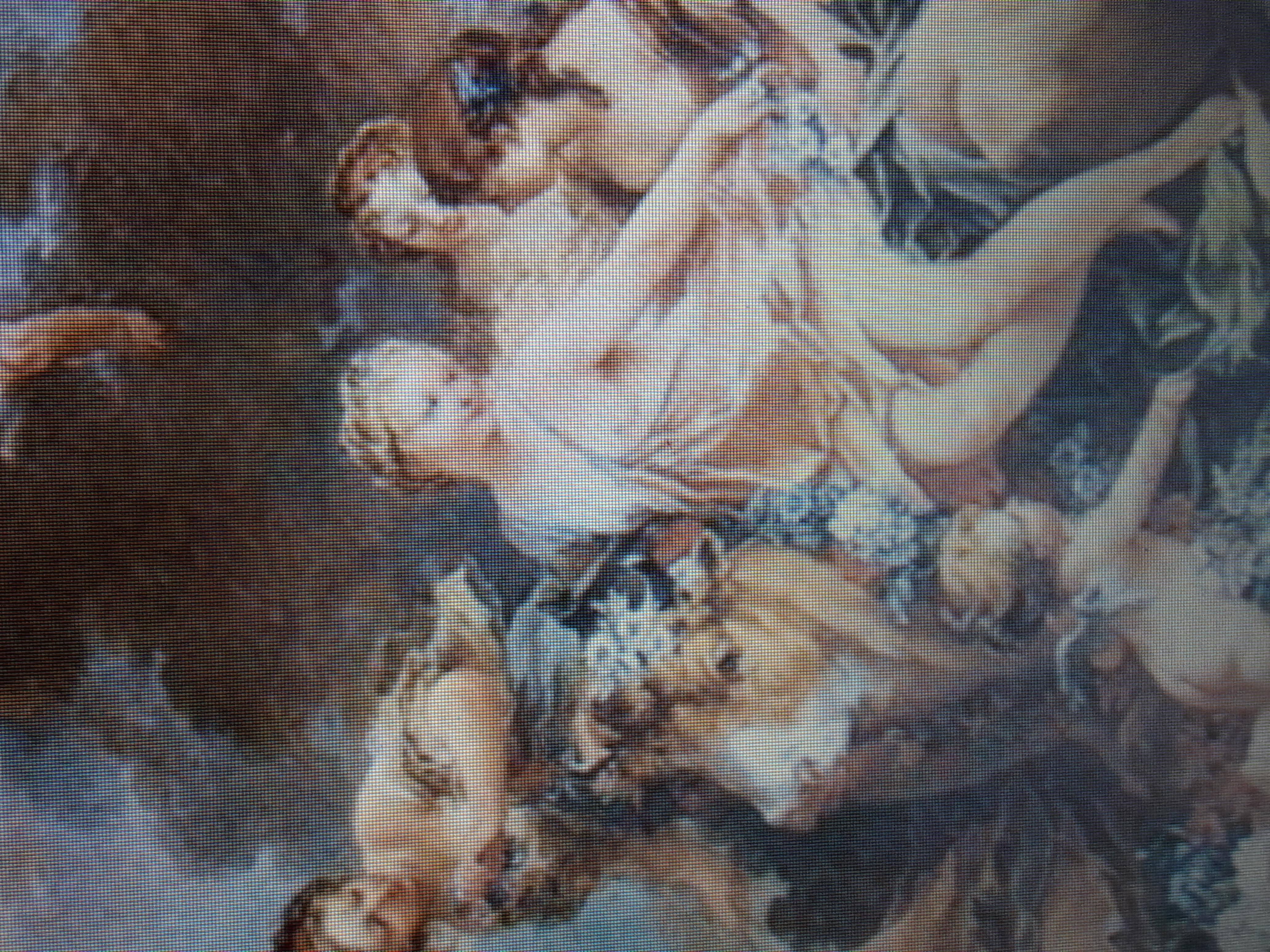 L’origine du nom Europe entre la mythologie grecque et les racines phéniciennes–levantines